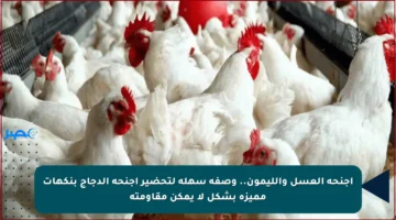 أجنحة العسل والليمون.. وصفة سهلة لتحضير أجنحة الدجاج بنكهات مميزة بشكل لا يمكن مقاومته